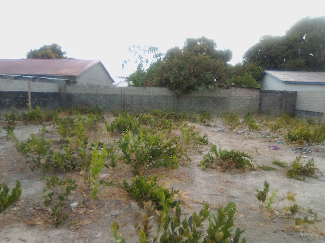 Land pictured in the charity’s mosque and school project archive